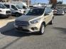 2018 Gold /Gray Ford Escape SE 4WD (1FMCU9GD5JU) with an 1.5L L4 DOHC 16V engine, 6A transmission, located at 577 Chester Pike, Prospect Park, PA, 19076, (610) 237-1015, 39.886154, -75.302338 - 2018 Ford Escape SE: 4x4, new PA inspection, backup camera, great on gas, runs LIKE NEW! This vehicle comes inspected and has been given a bumper to bumper safety check. It is very clean, reliable, and well maintained. We offer a unique pay plan that is known for being the easiest and fastest fin - Photo#3